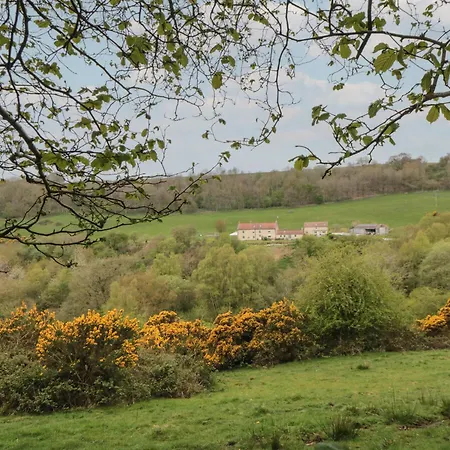 بيت للعطل The Burrows